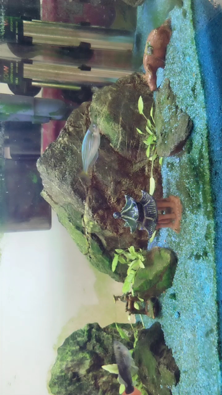 分享视频
