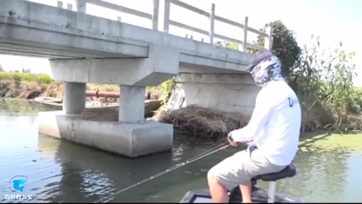 #野钓#阴影水面路亚作钓,把鱼从深水诱到水面咬钩,诱钓翘嘴鱼和红珠鱼