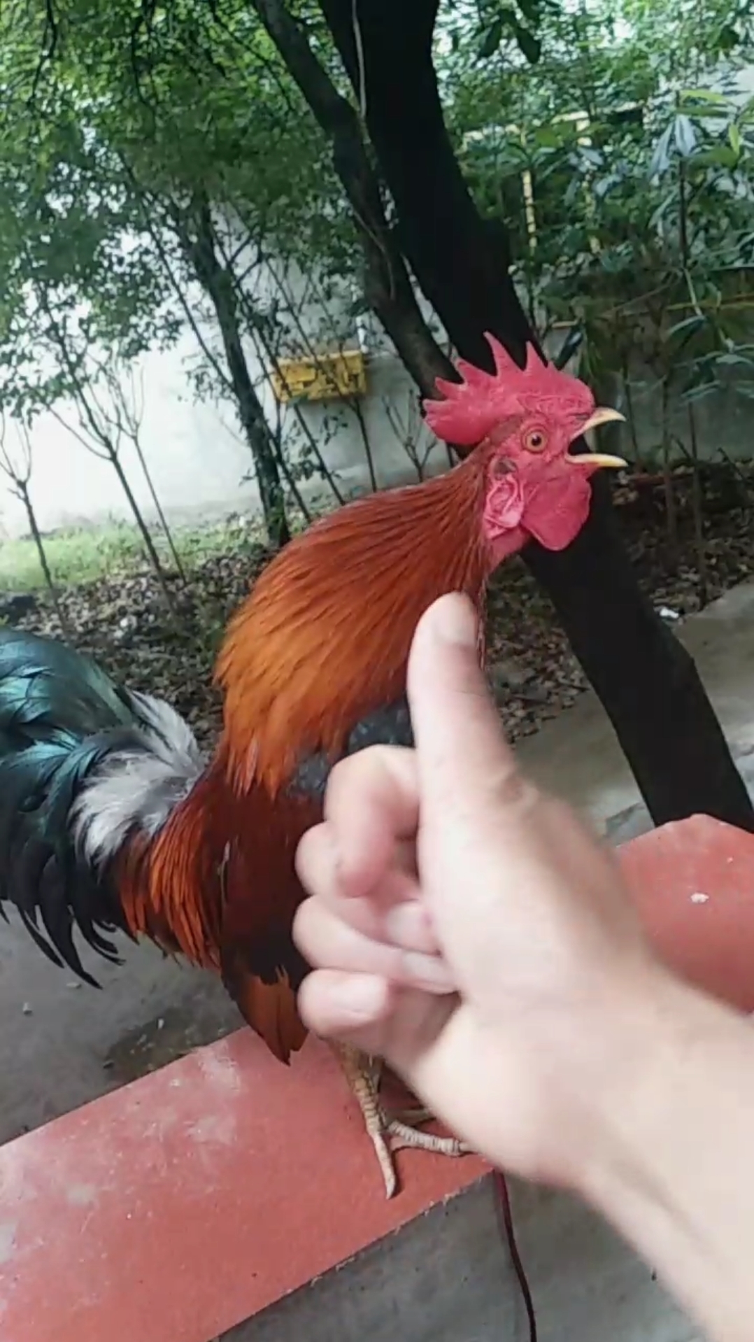好嗨哟!进来看看吧