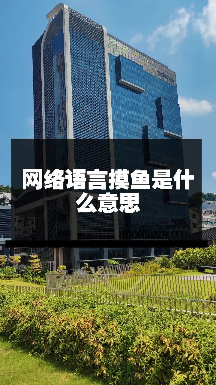 网络语言摸鱼是什么意思