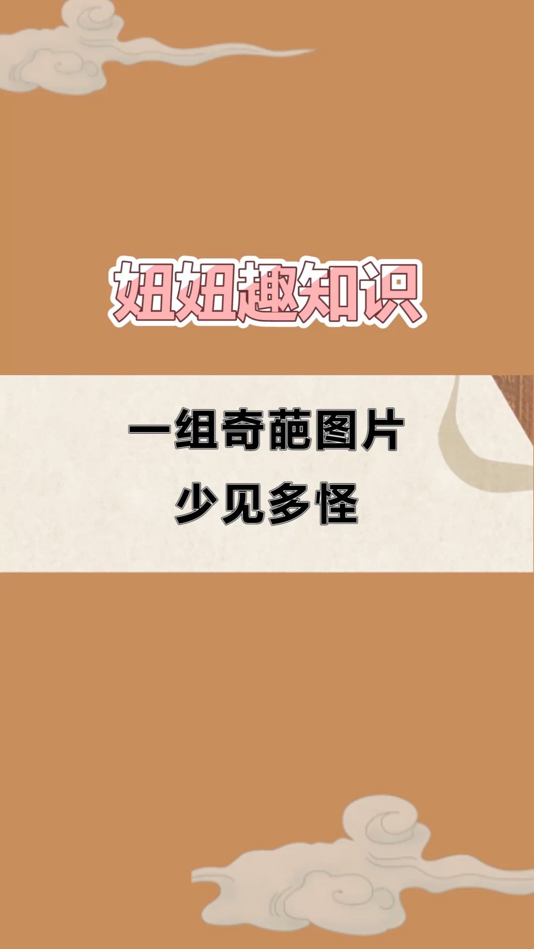 #每天一点冷知识#一组奇葩图片,少见多怪,图4是对钓鱼者的肯定!