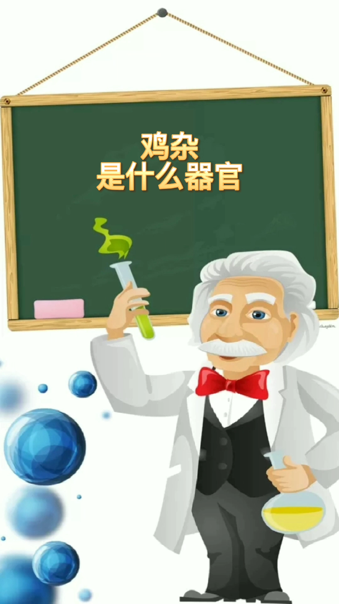 鸡杂是什么器官我来告诉你