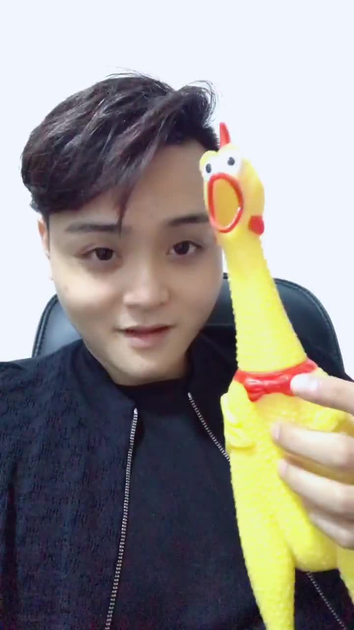 我就不信你不火,小黄鸡