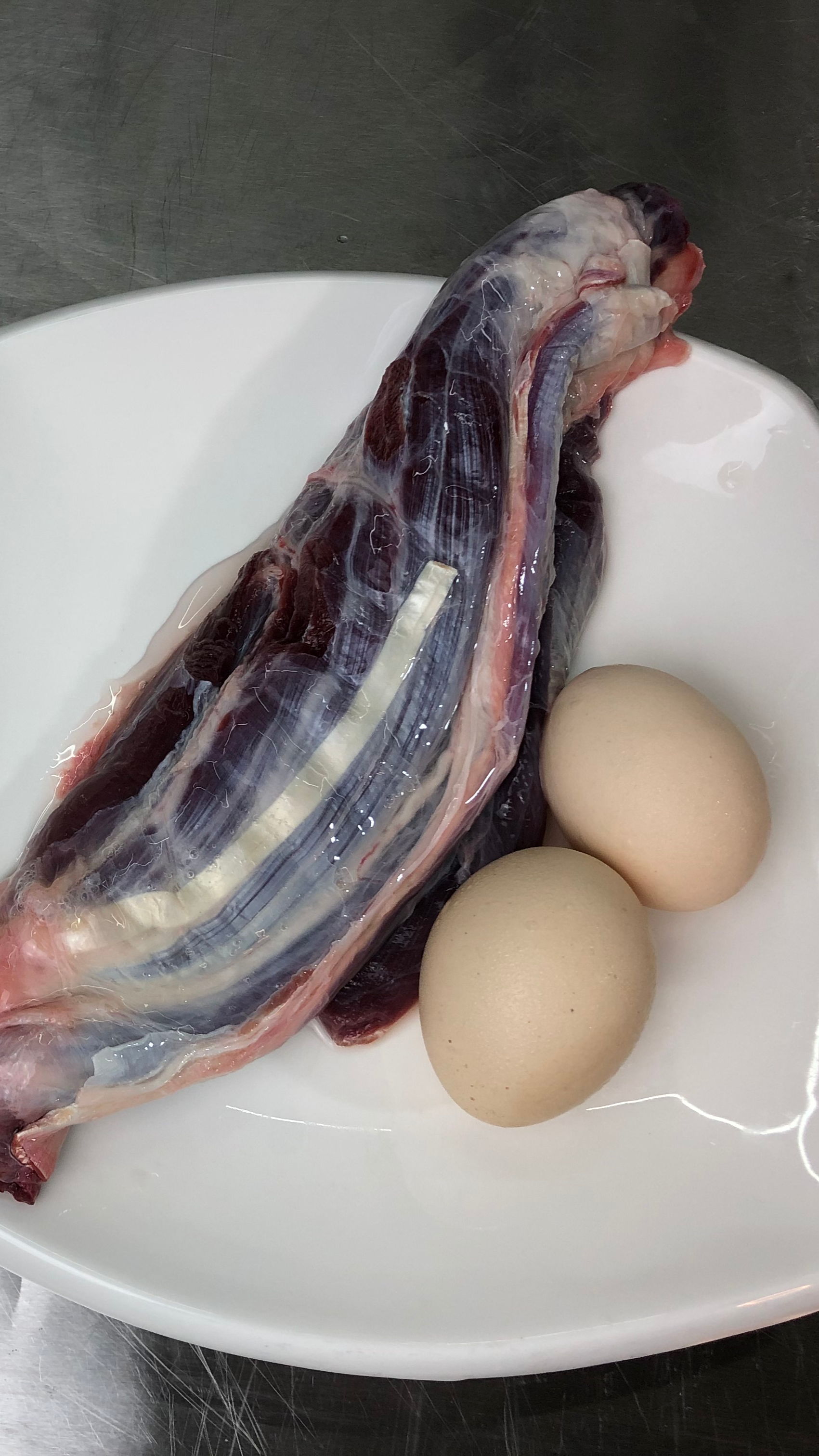 #美食#大厨分享一道家常做法广式“窝蛋牛肉粥”,鲜嫩爽滑营养丰富