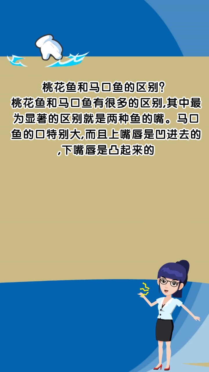 桃花鱼和马口鱼的区别?