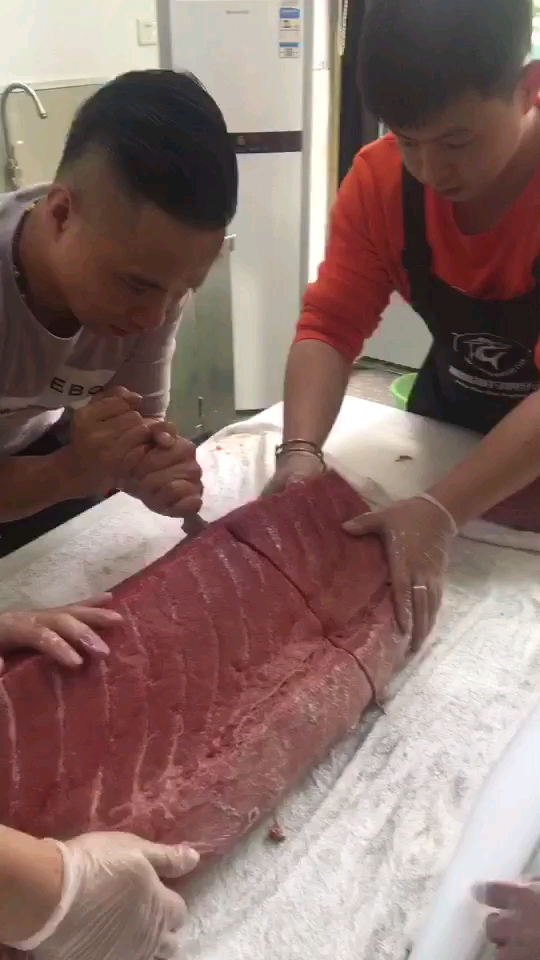 震撼全世界:500斤蓝鳍金枪鱼肉