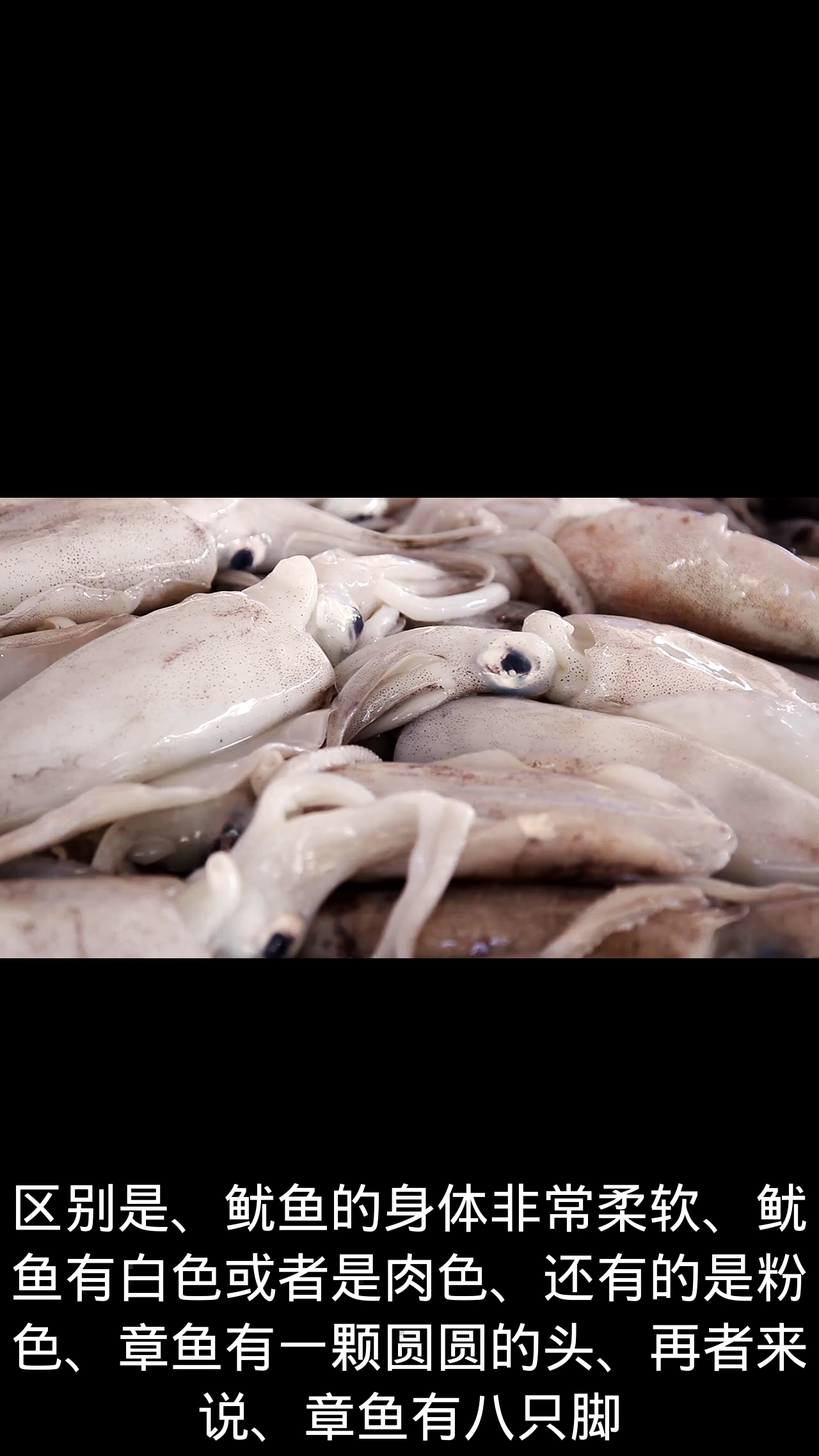 鱿鱼和章鱼的区别