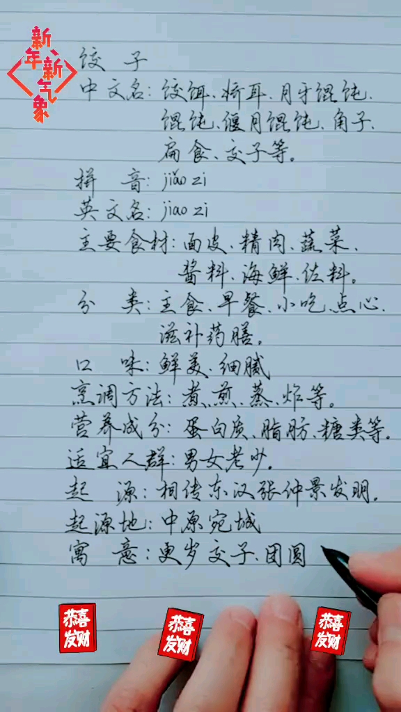 中华传统美食饺子的说明书