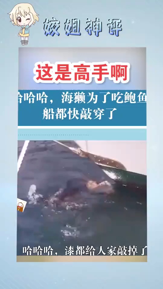 #搞笑视频#笑死人不偿命:一看就是惯犯了,船都掉漆了
