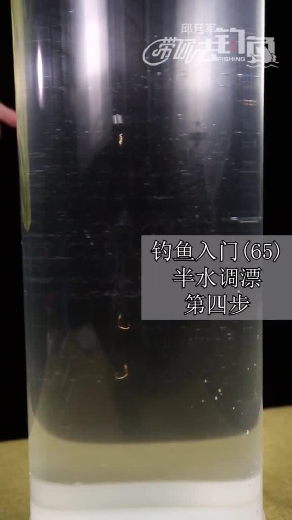 钓鱼入门半水调漂第四步钓鱼教学视频钓鱼技巧钓鱼教学钓鱼视频