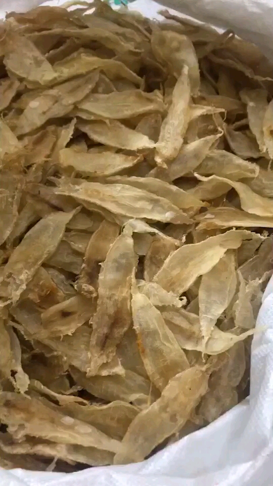 野生大口赤嘴,一款自称可以跟白花胶口感相媲美的鱼胶,主要性价比高,不腥  野生
