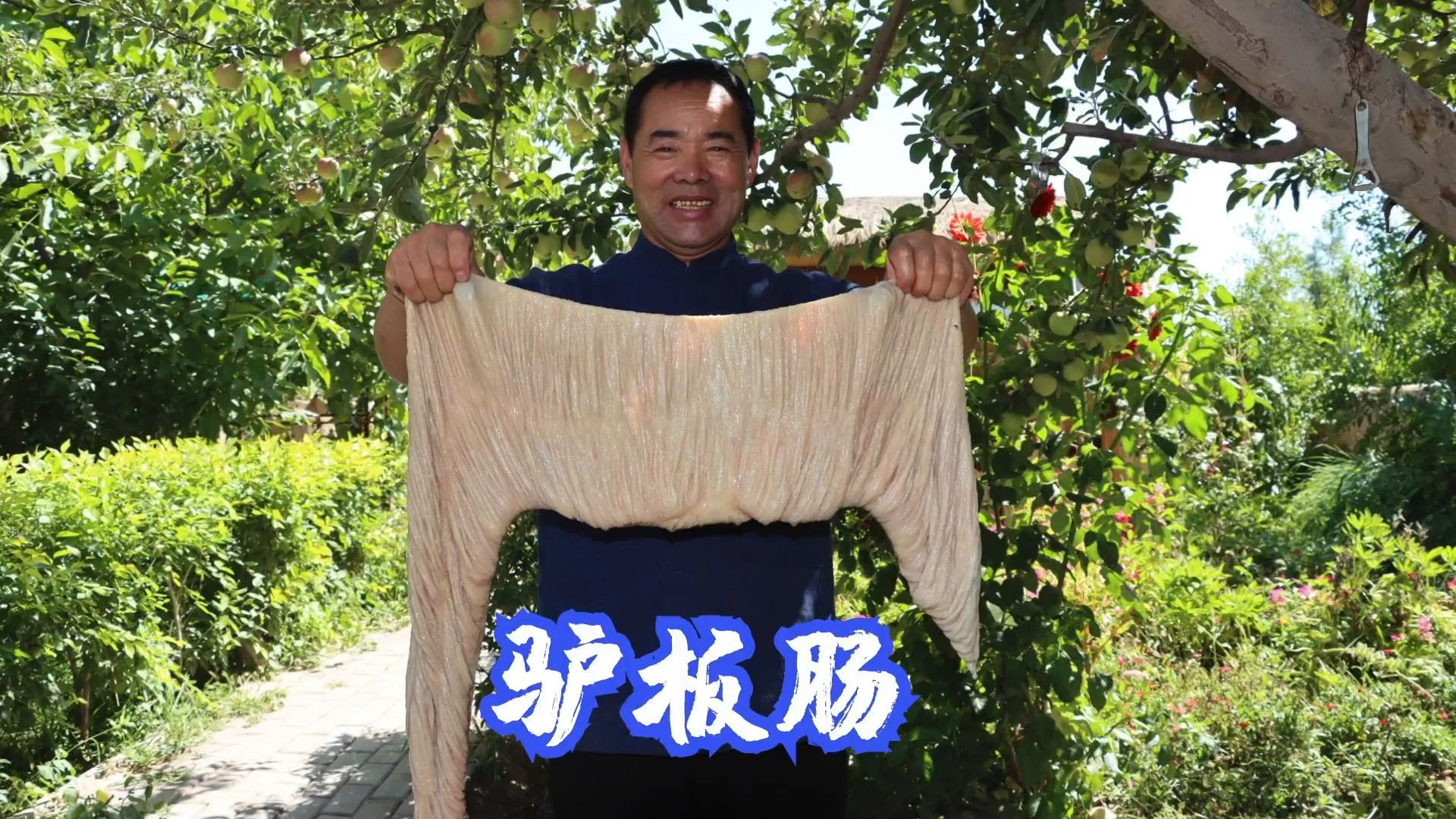 都说宁舍孩他娘不舍驴板肠,今天买一根做干锅,味道果然名不虚传