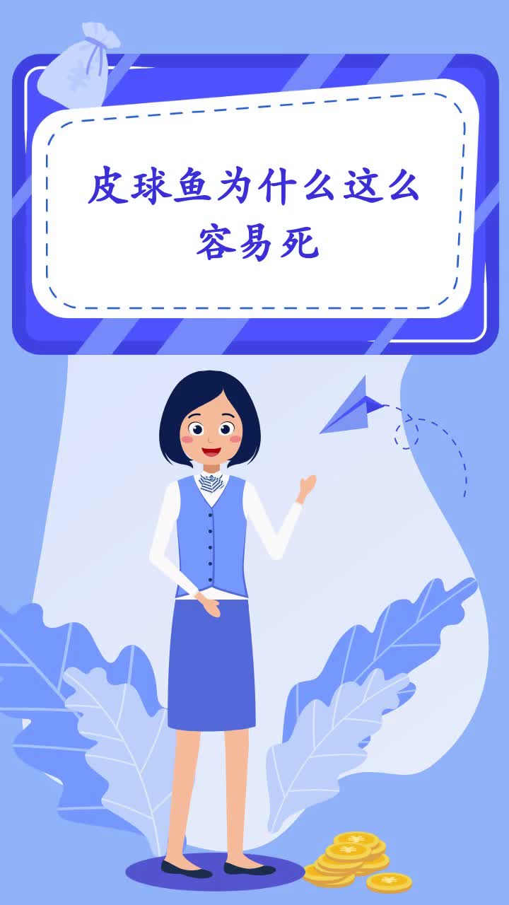 皮球鱼为什么这么容易死