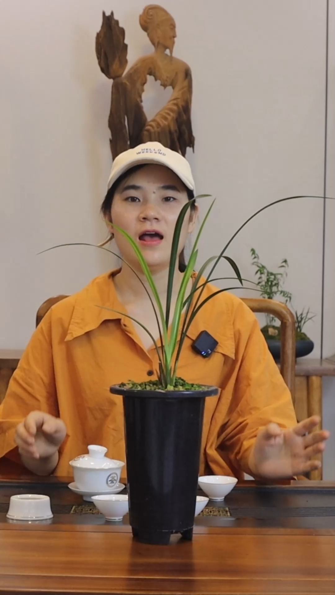 #兰花#一分钟带你了解兰花的形态特征!