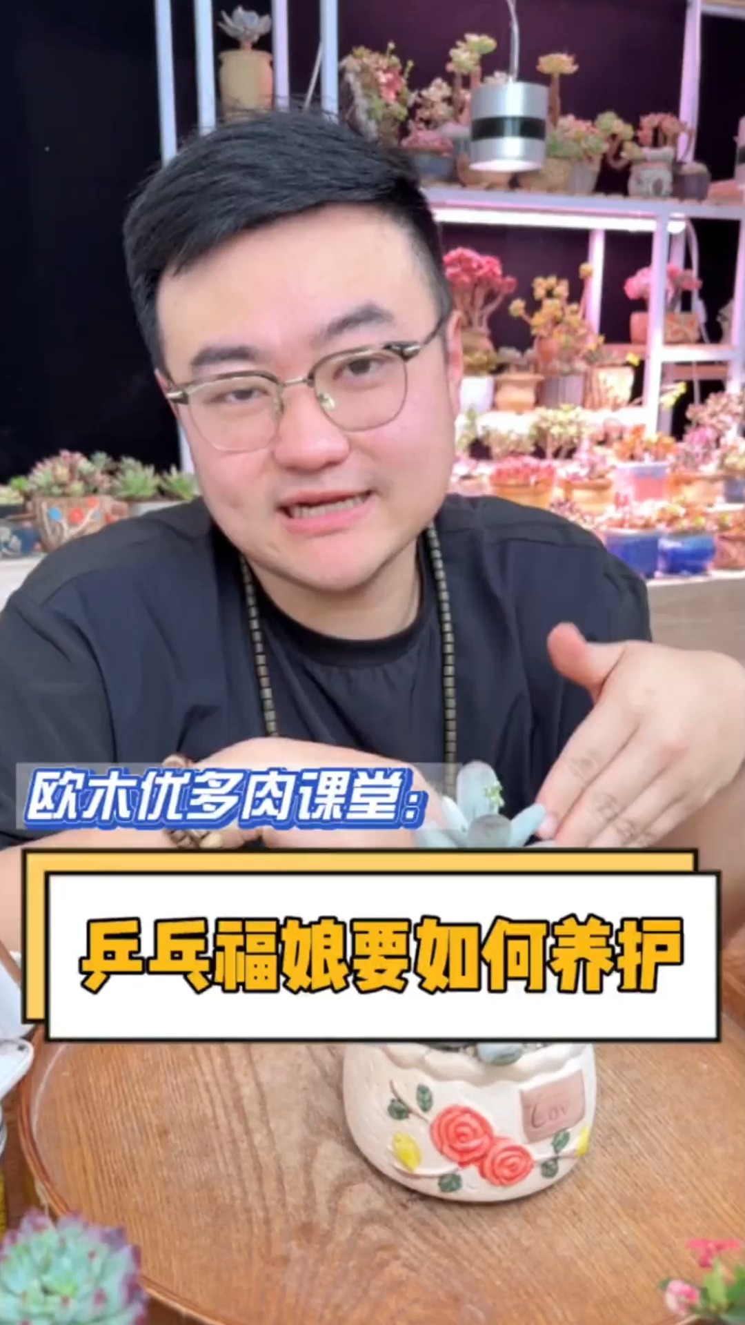 圆嘟嘟的乒乓福娘要如何养护?如何安全度夏?这个视频告诉你#多肉#