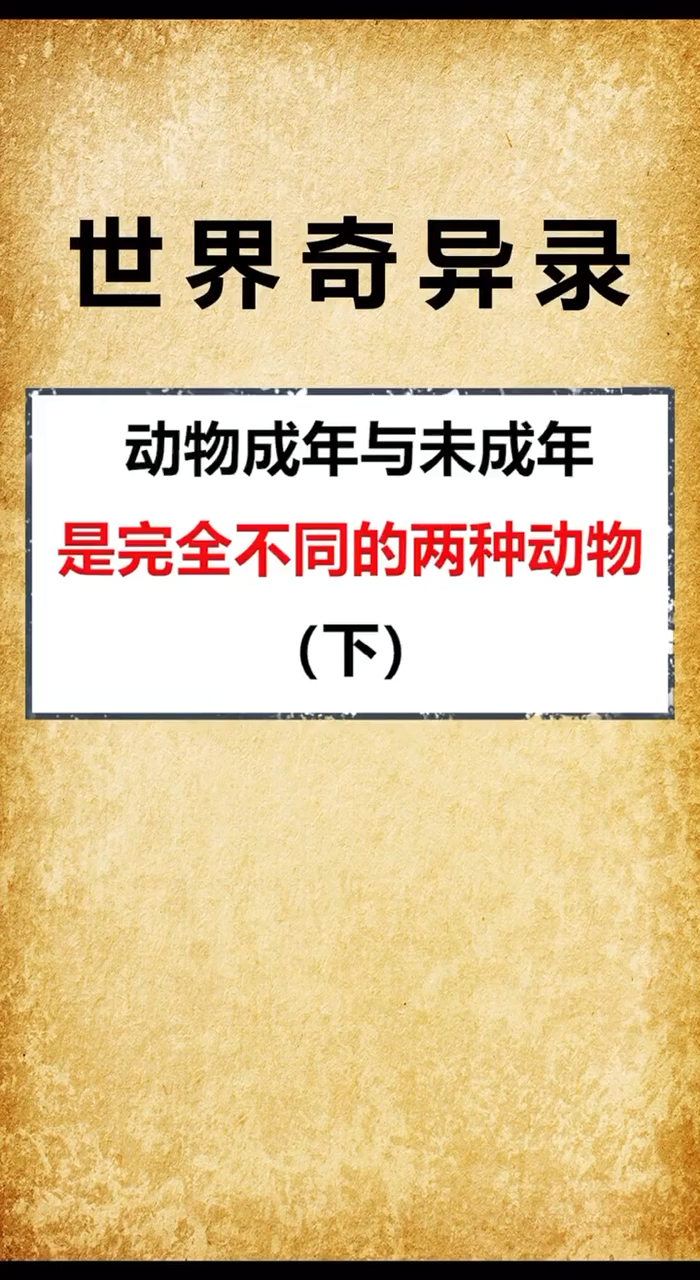 哪些动物和长大以后不一样