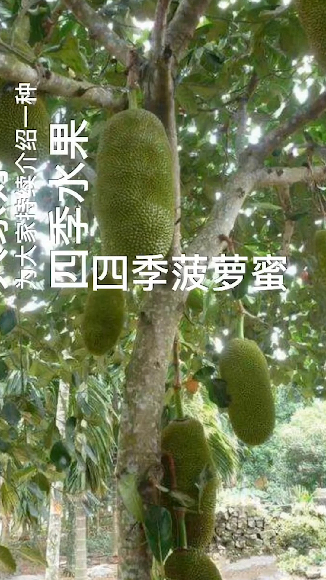 #立个新年flag#这个东西是我们一年的辛苦换来的,但是一想却不到一杯奶茶钱,你说值不值