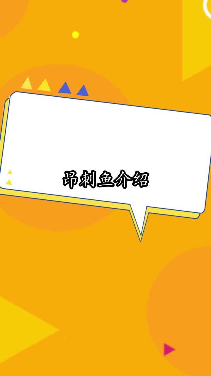 昂刺鱼介绍,你明白了吗