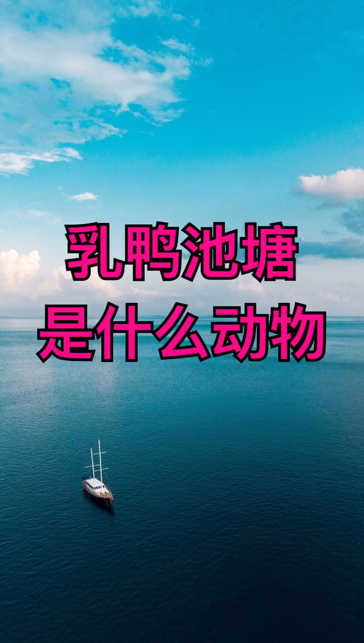 乳鸭池塘是什么动物