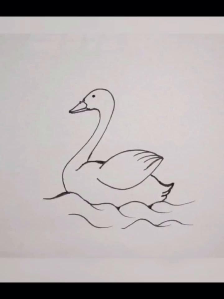 #简笔画#简笔画鹅