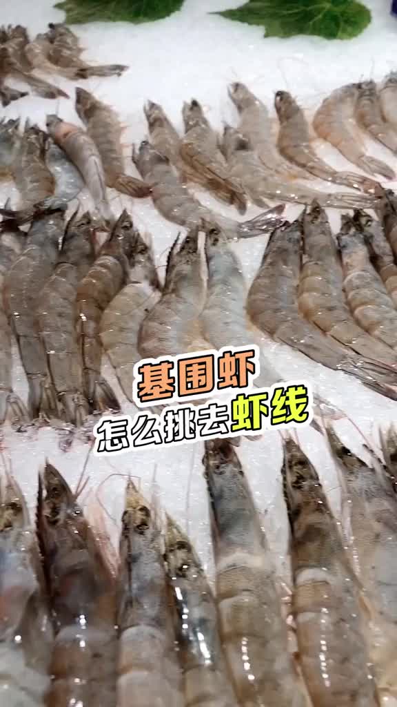 213_有颜有知识的我大虾您真的会吃吗基围虾又要怎么处理呢