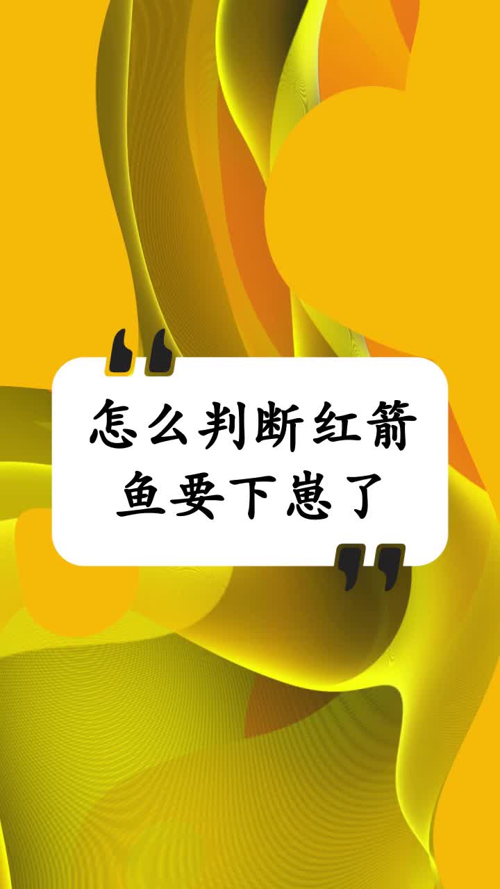 怎么判断红箭鱼要下崽了