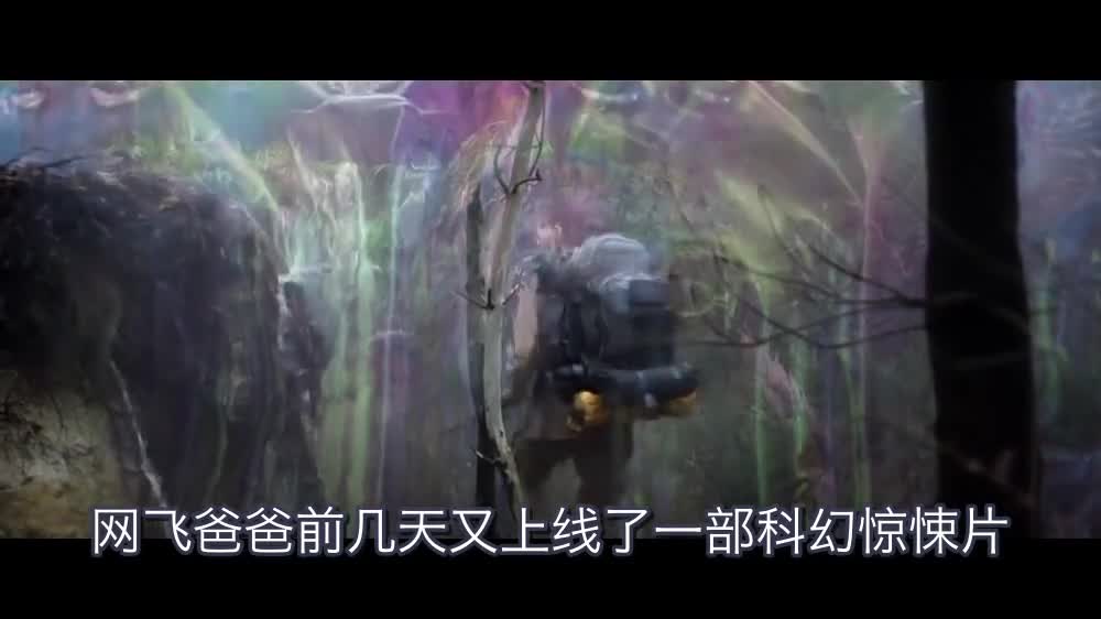一部科幻惊悚片,美女走着走着就变成植物了,看完细思极恐