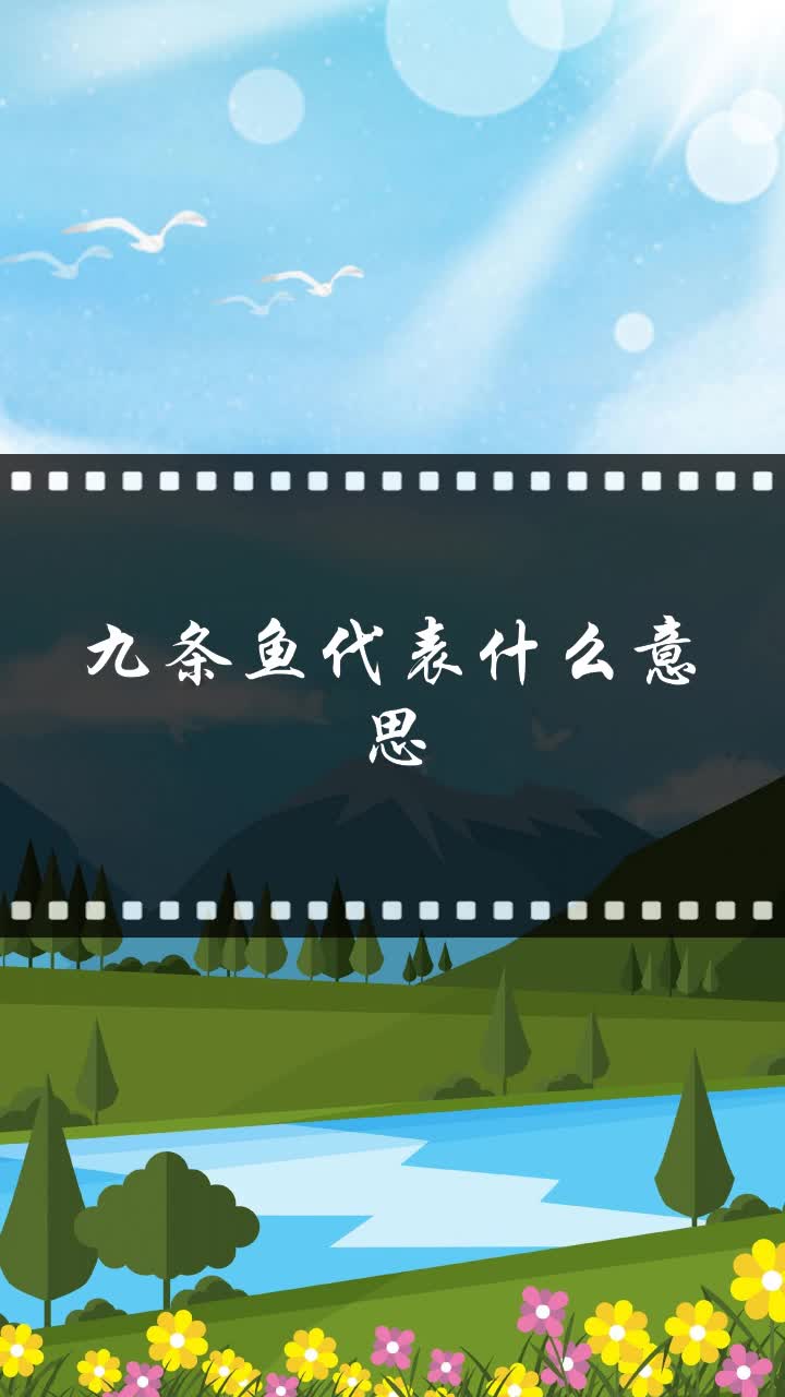 九条鱼代表什么意思