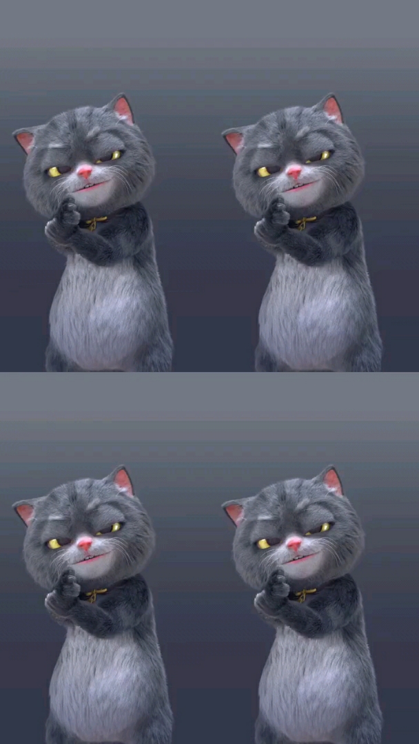 优质壁纸:可爱小猫
