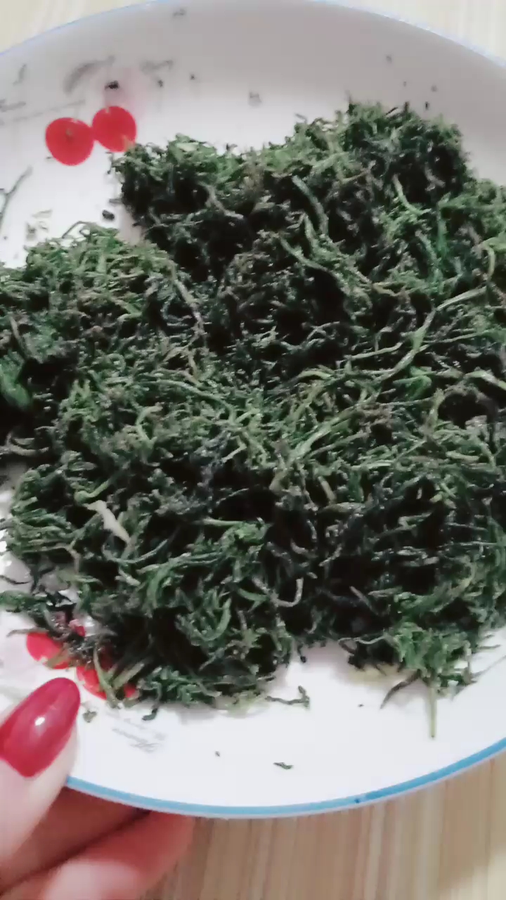 知道是什么野菜吗  