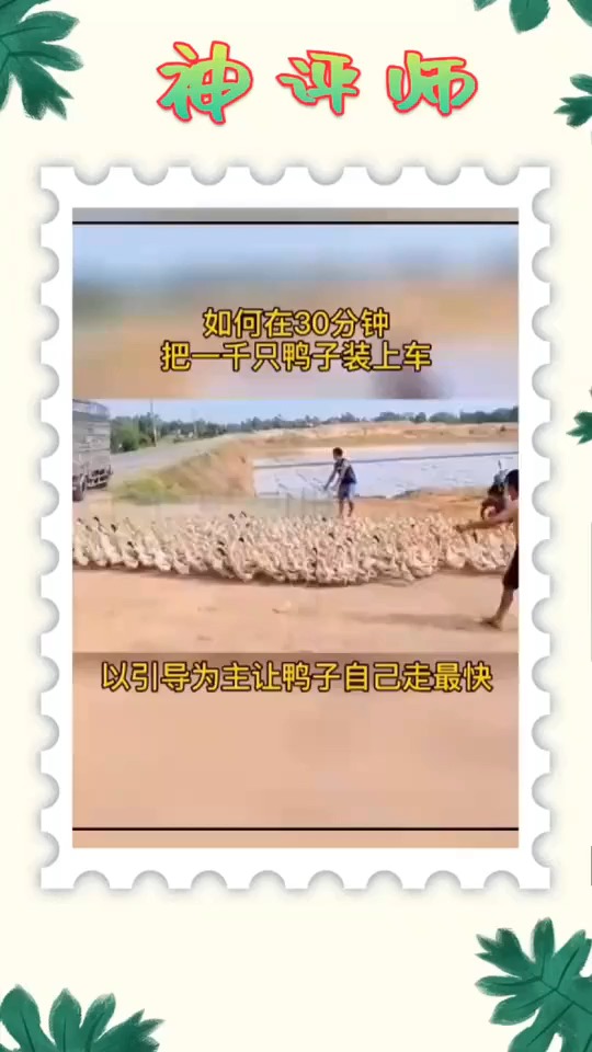 #搞笑视频#小鸭鸭们,自己把自己送走了
