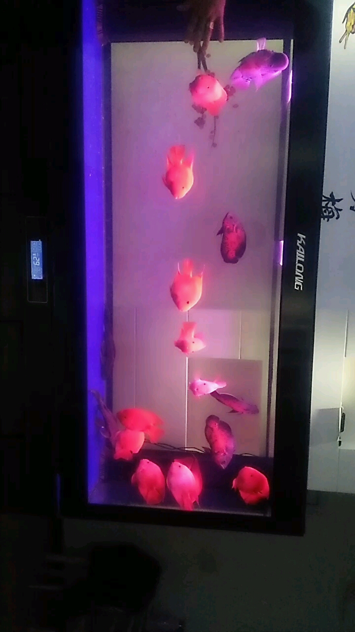 分享视频