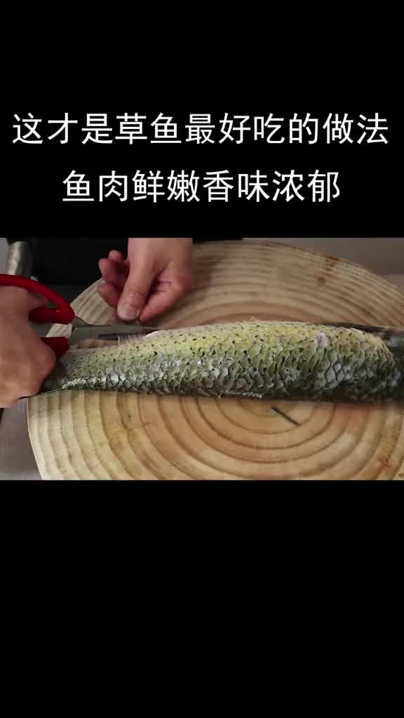 这才是草鱼最好吃的做法,鱼肉鲜嫩香味浓郁,美食趣胃计划,,在家做个拿手菜