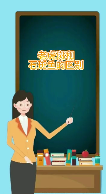 老虎斑和石斑鱼的区别