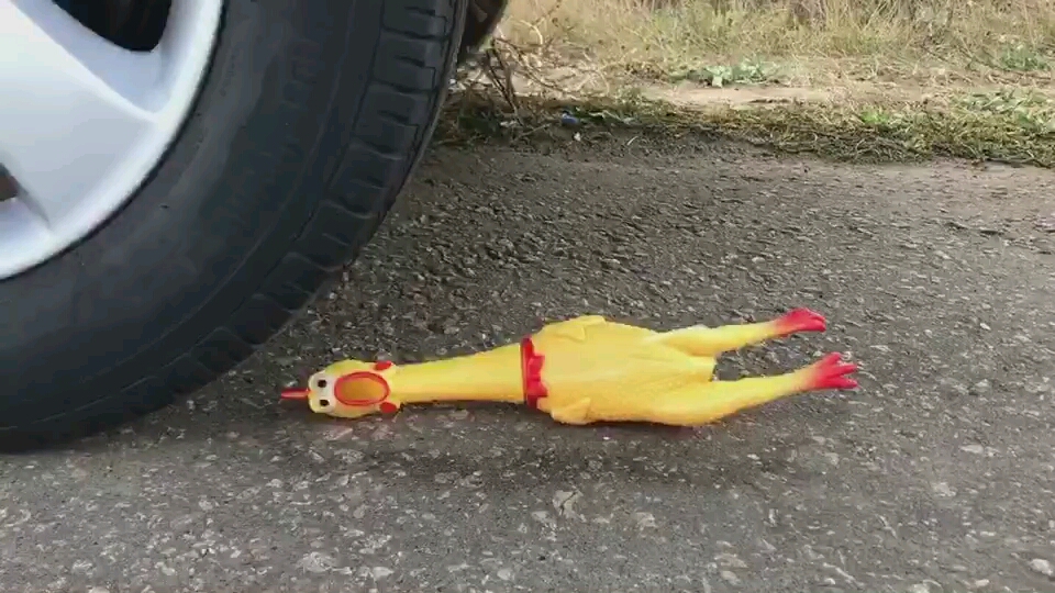 震惊!老奶奶养的鸡不被汽车压死了最后连声音都叫不出来