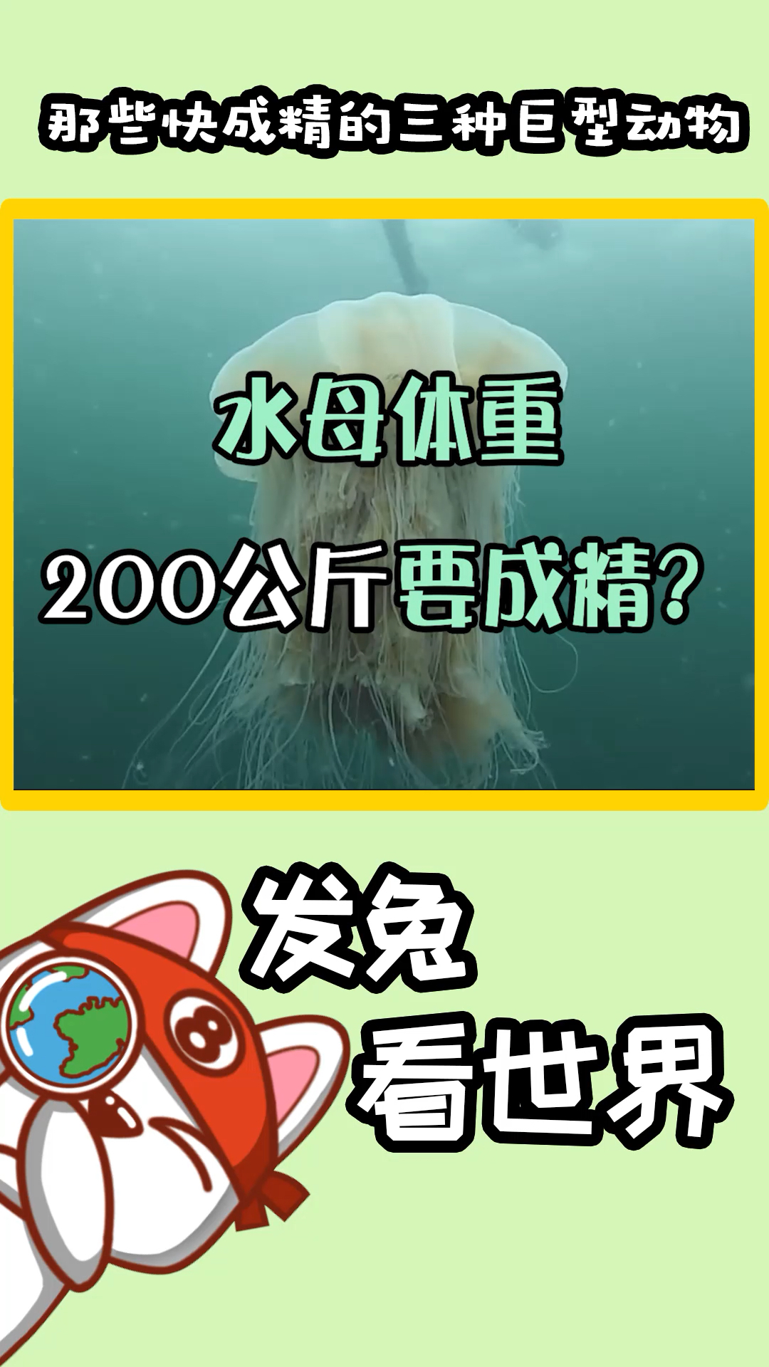 巨型食人鱼见过没?世界上的三种巨型动物!相当于好几个成年人!