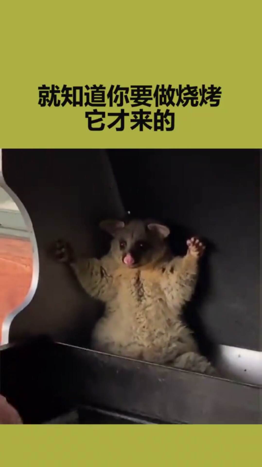 这还没懂吗,它是想成为烧烤食材