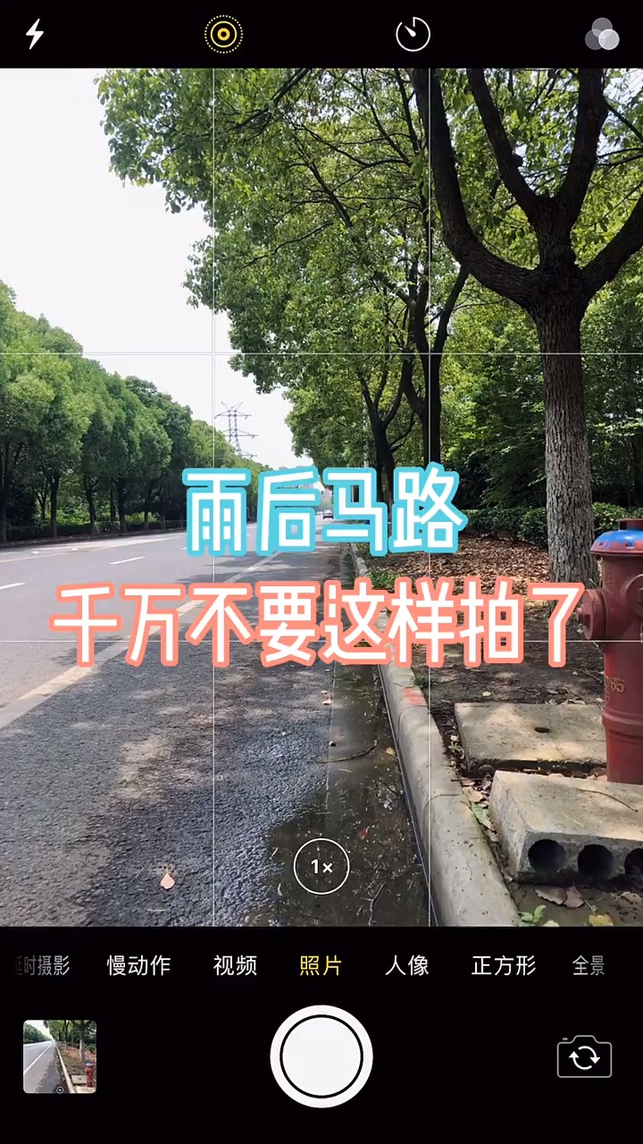 雨后马路边利用水沟拍出超好看的照片