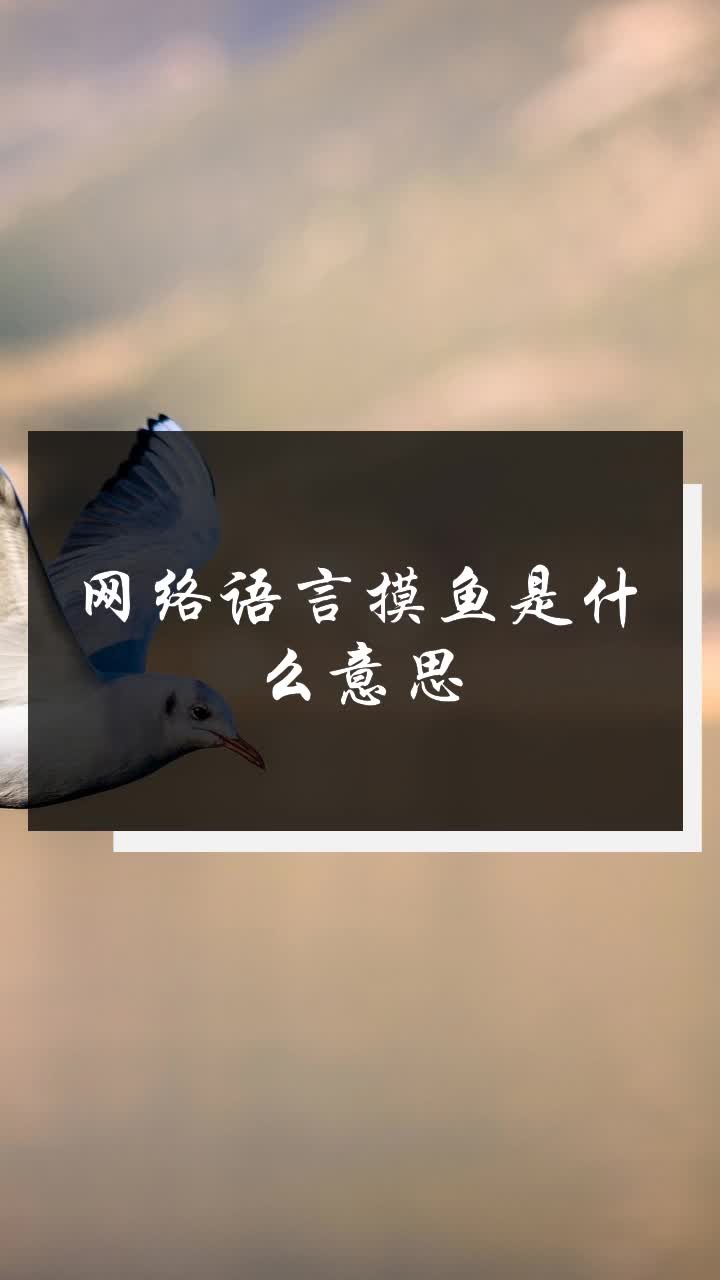 网络语言摸鱼是什么意思