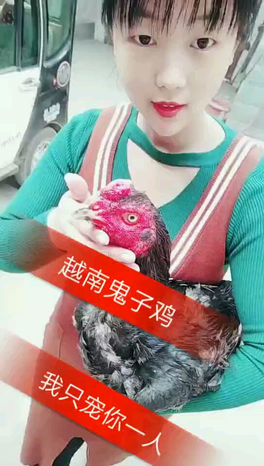 越南鬼子鸡。我只宠你一人
