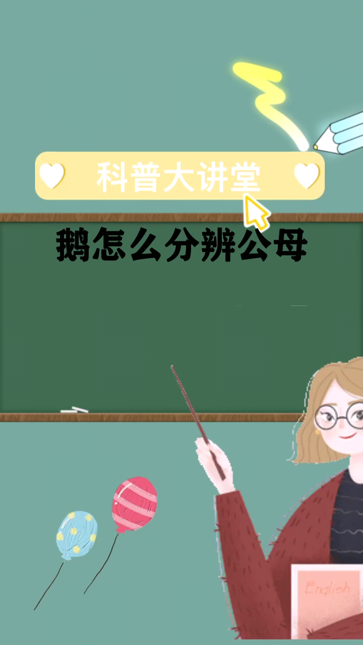 大家知道鹅怎么分辨公母吗