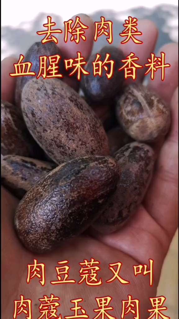 大料知识～肉豆蔻。