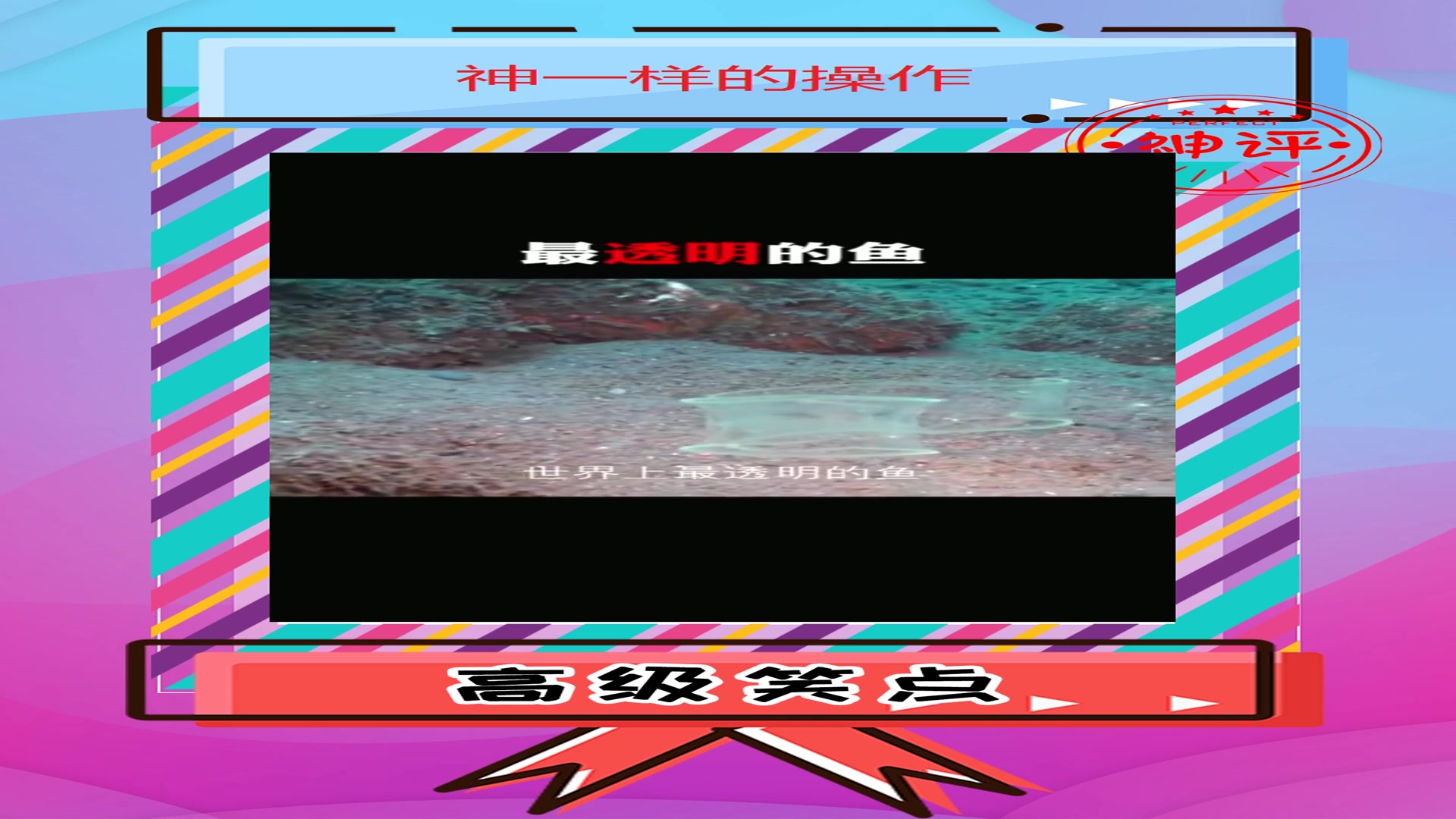 #搞笑#世界上最透明的鱼,全身连内脏都是透明的,太好看了叭!