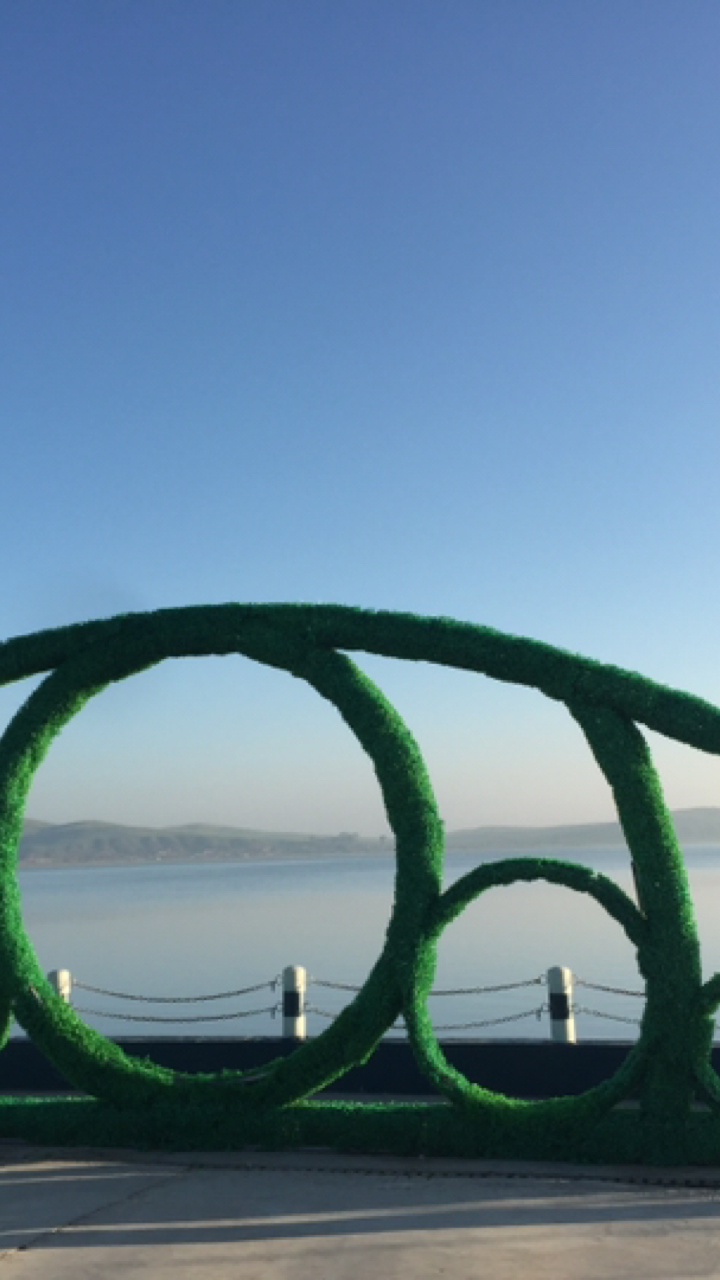 天鹅湖的美景都可以当桌面