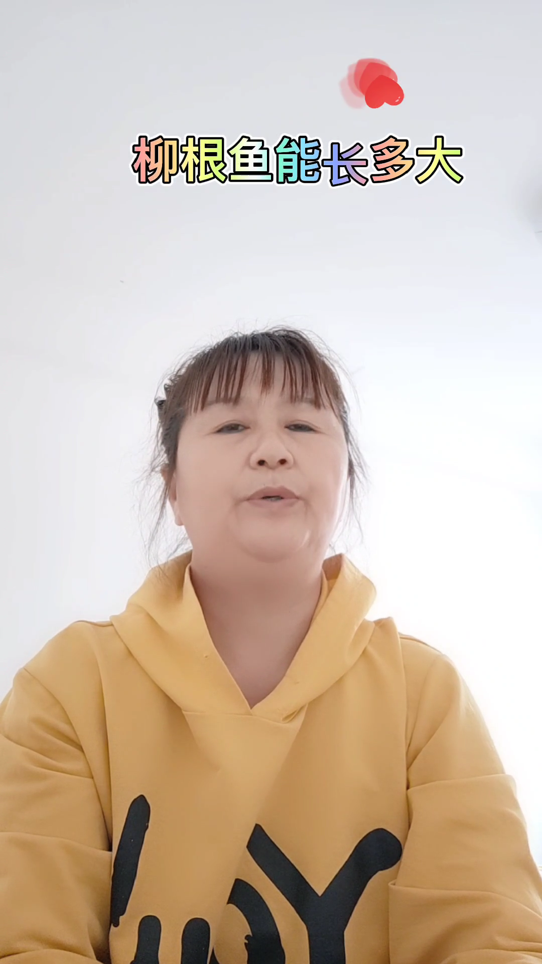 柳根鱼能长多大?