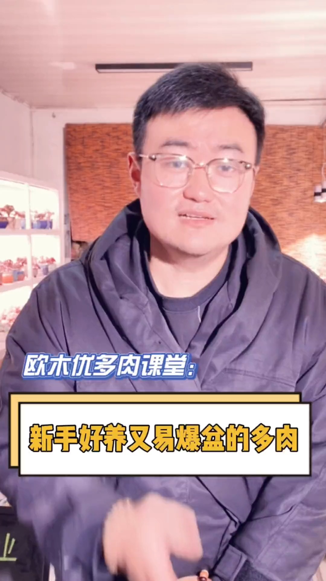 新手好养又容易爆盆的多肉有哪些?这个视频告诉你#多肉#多肉植物#