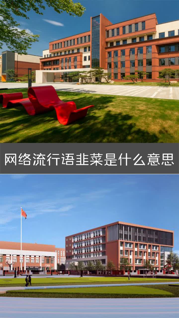 网络流行语韭菜是什么意思