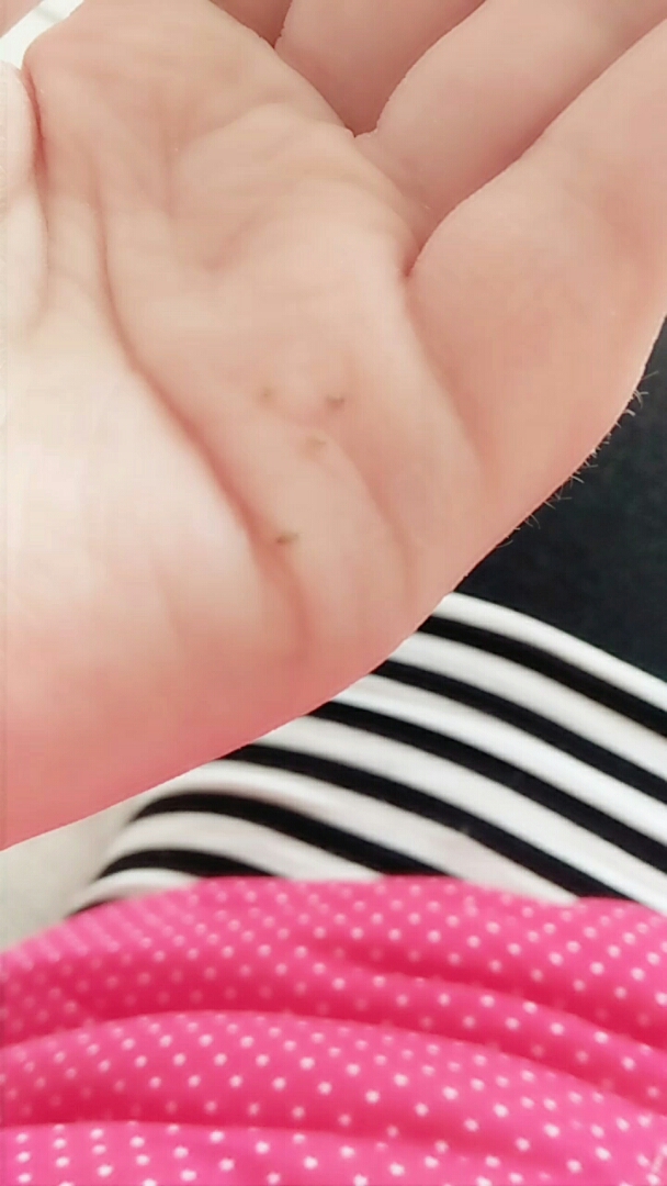 菠菜汤里找出来的,还能喝吗:)