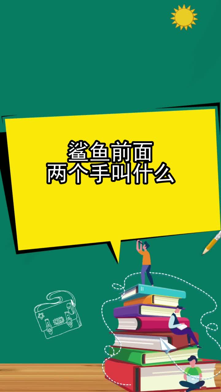 鲨鱼前面两个手叫什么,你学会了吗