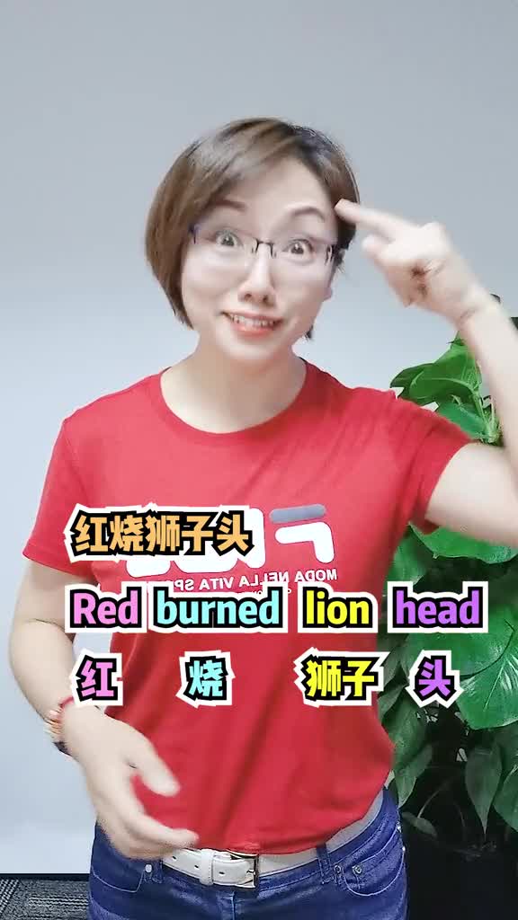 国外朋友给我发来的菜谱翻译,非官方翻译英语英语口语学浪计划神翻译